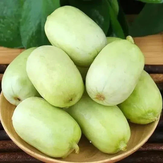 Golden Lady Cucumber