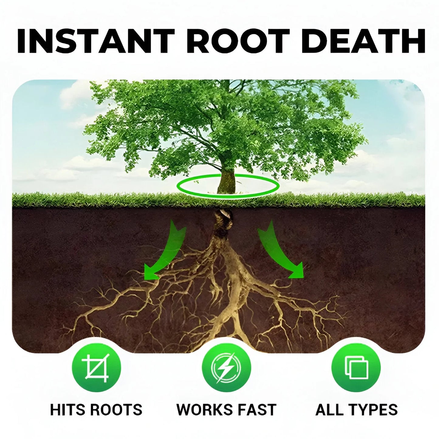 The Lyra™️ Cyclosinone Herbicide Granules | 🔥BUY 1 GET 1 FREE🔥