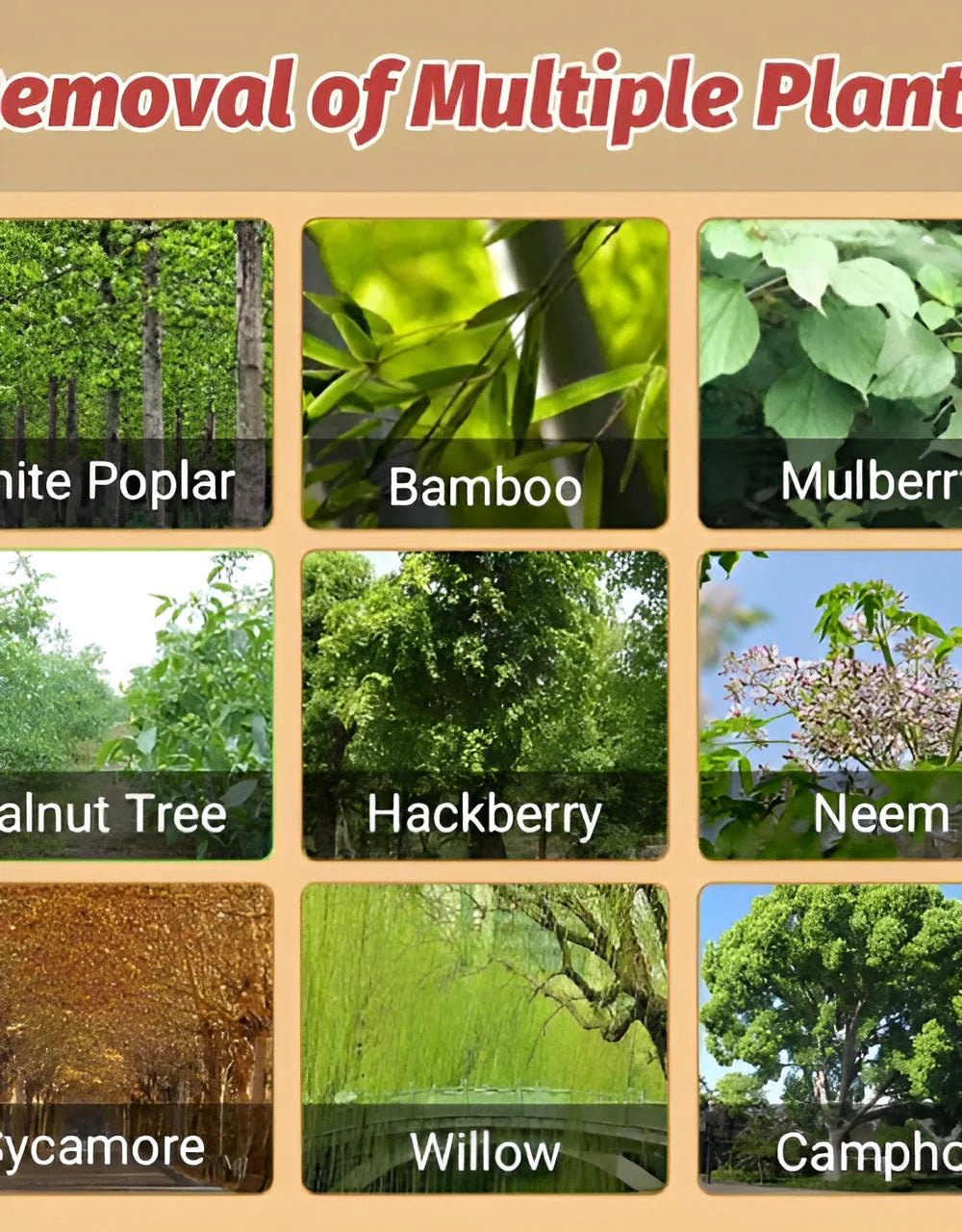 The Lyra™️ Cyclosinone Herbicide Granules | 🔥BUY 1 GET 1 FREE🔥