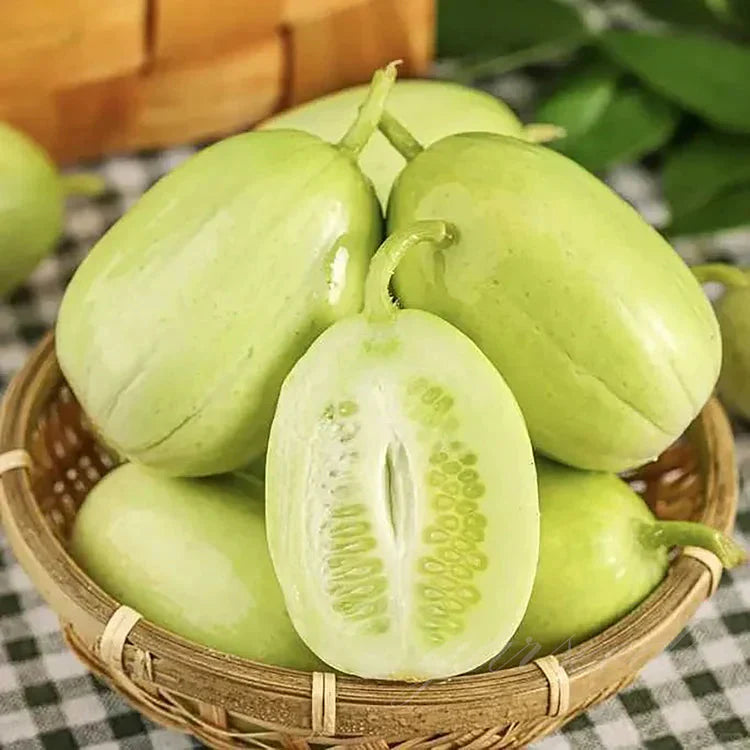 Golden Lady Cucumber